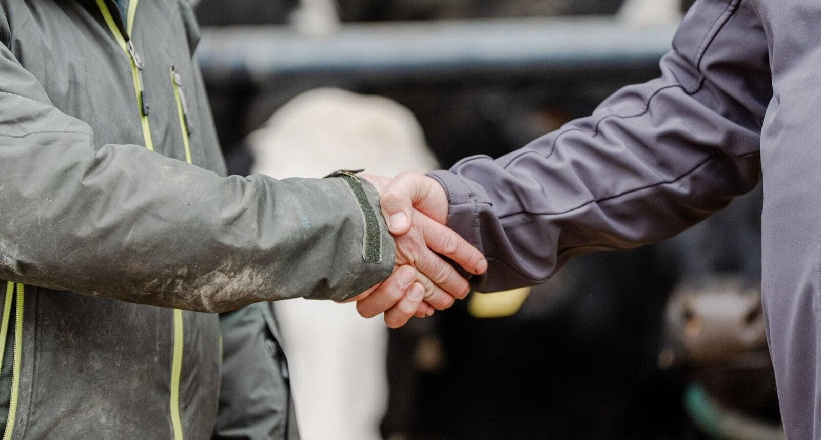 Two people shaking hands inside a dairy farm, representing support and partnership with farmers.