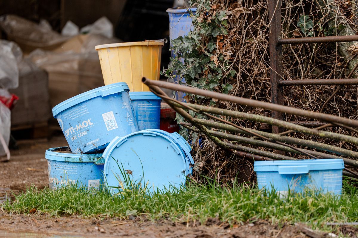 Livestock feed buckets and equipment in a farmyard